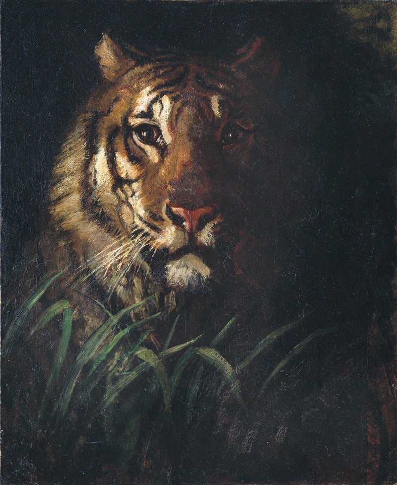 Animaux