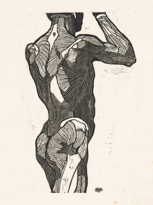 Étude Anatomique, Muscles du Dos d'un Homme (1906), par Reijer Stolk