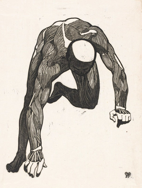 Étude anatomique des muscles du cou, du bras et de la jambe d'un homme (1906), par Reijer Stolk