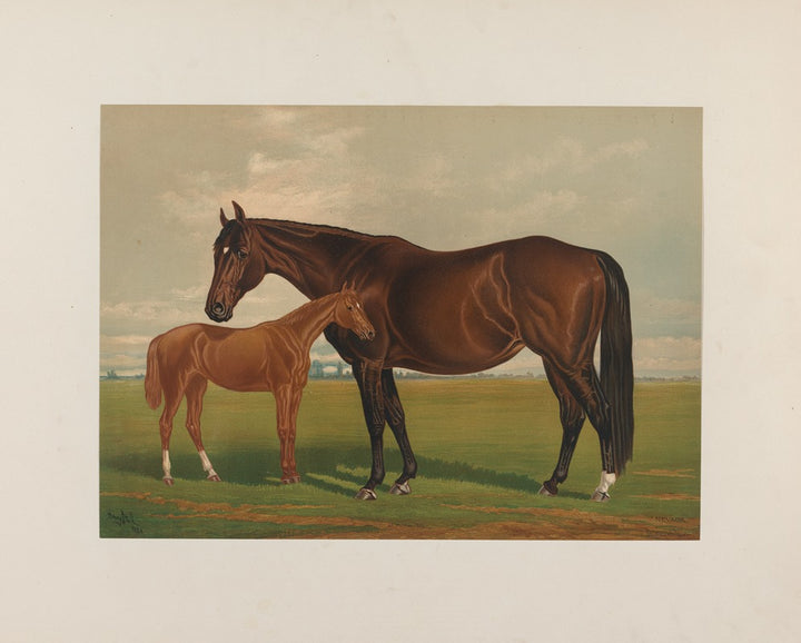 Nevada (1881-1882), par Henry Skull