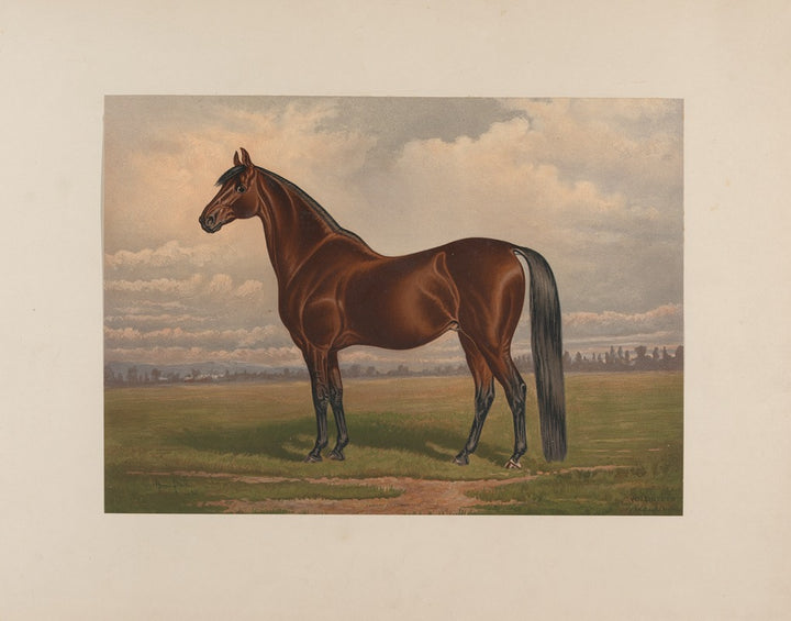 Volunteer - Le Plus Grand Seigneur du Trot (1881-1882), par Henry Skull