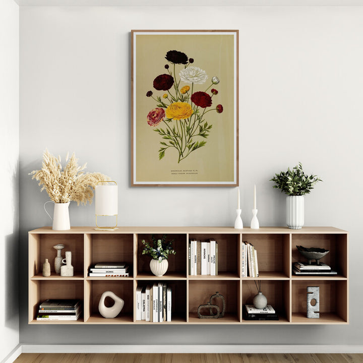 Doublé Persian Ranunculus (c.1880), par Arentina Hendrica Arendsen
