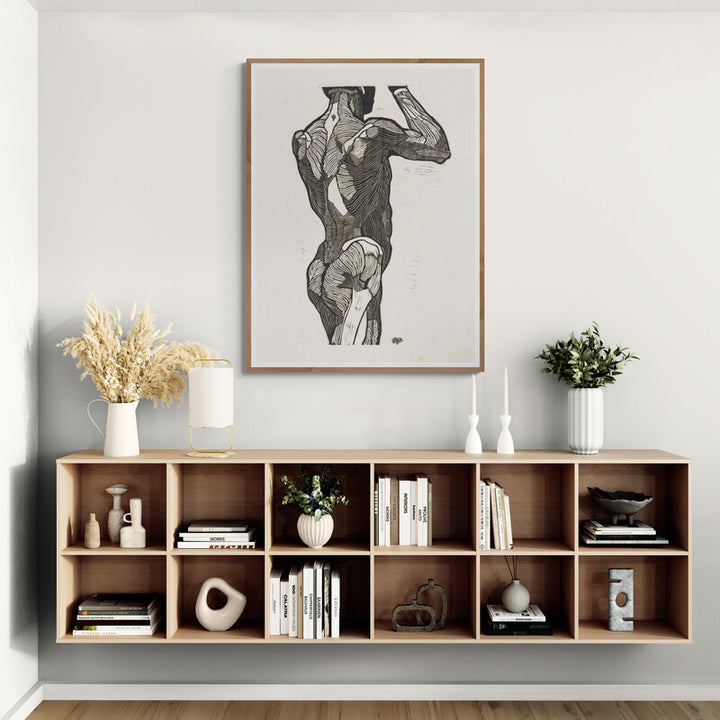 Étude Anatomique, Muscles du Dos d'un Homme (1906), par Reijer Stolk