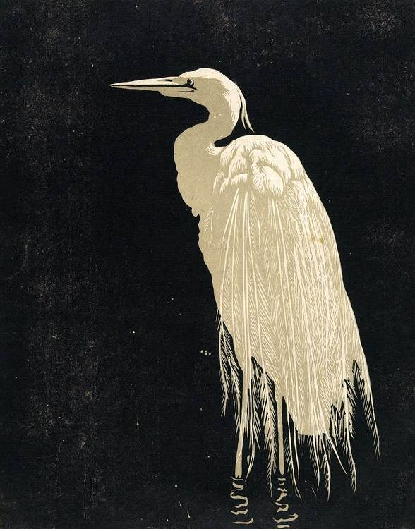 Héron (1910), par Walther Klemm